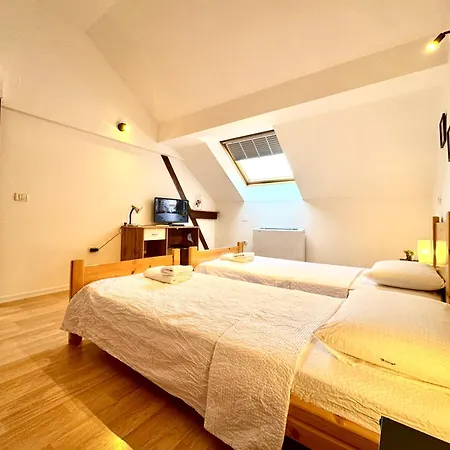 Le Dome-nobile 蒂米什瓦拉