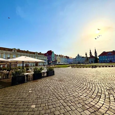 Le Dome-nobile 蒂米什瓦拉